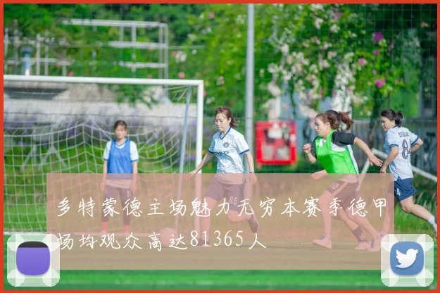 多特蒙德主场魅力无穷本赛季德甲场均观众高达81365人